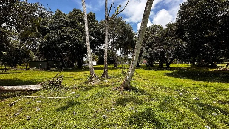 DEVELOPERS DREAM! Bahia, Uvita, walk to the beach!: Mountain Agricultural Land For Sale in Uvita, photo 3