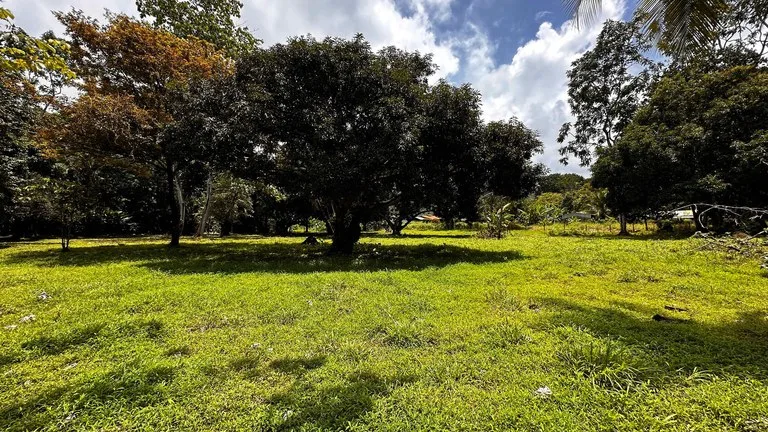 DEVELOPERS DREAM! Bahia, Uvita, walk to the beach!: Mountain Agricultural Land For Sale in Uvita, photo 5