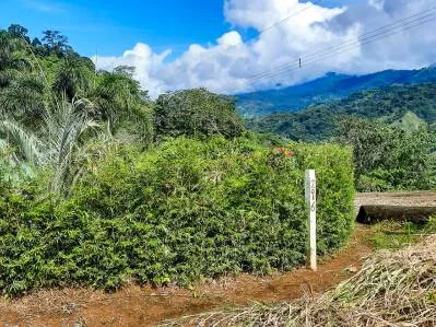 Impresionante Propiedad con Vista al Mar en Sueños del Trópico – Chontales, Costa Rica, photo 3
