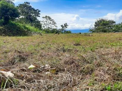 Impresionante Propiedad con Vista al Mar en Sueños del Trópico – Chontales, Costa Rica, photo 4