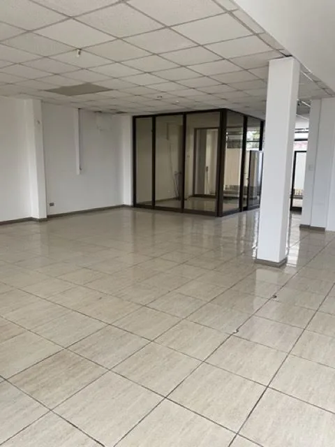 Office for Lease in Los Yoses, San Pedro, photo 5