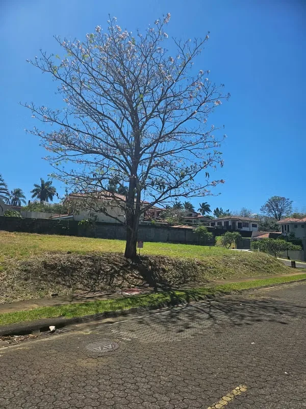 Lots for sale in exclusive residential area of Belen Heredia