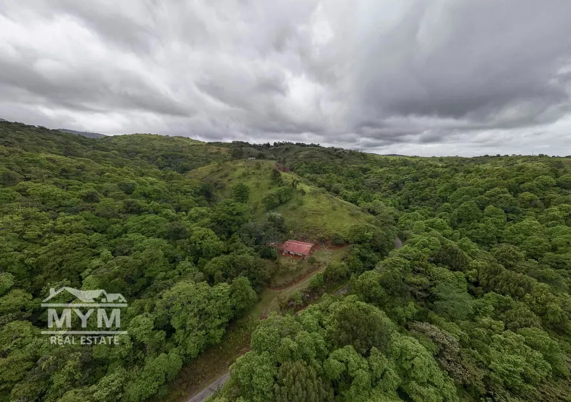 A unique 15.4-hectare property with potential for tourism and residential development., photo 4