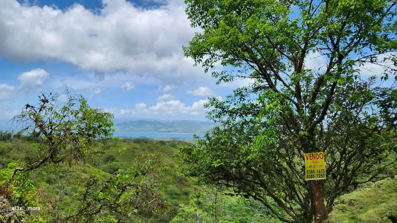 A unique 15.4-hectare property with potential for tourism and residential development., photo 7