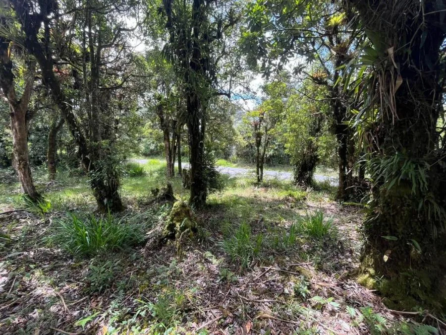 Venta de Lote en Dota, San José. RAH 25-1964 - Venta en Dota