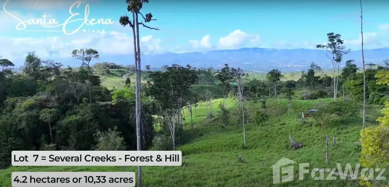 Land for Sale in Perez Zeledon, San Jose for $200,000, photo 2