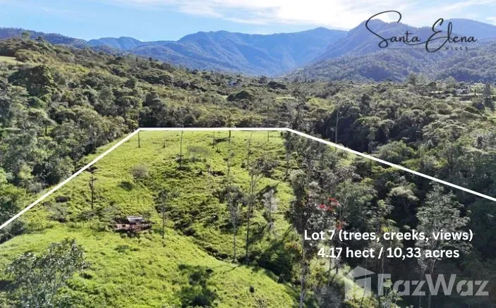 Land for Sale in Perez Zeledon, San Jose for $200,000, photo 11