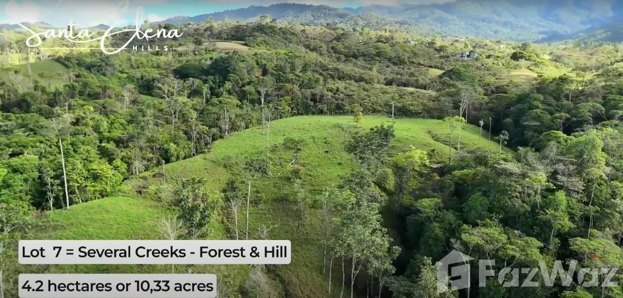 Land for Sale in Perez Zeledon, San Jose for $200,000, photo 3