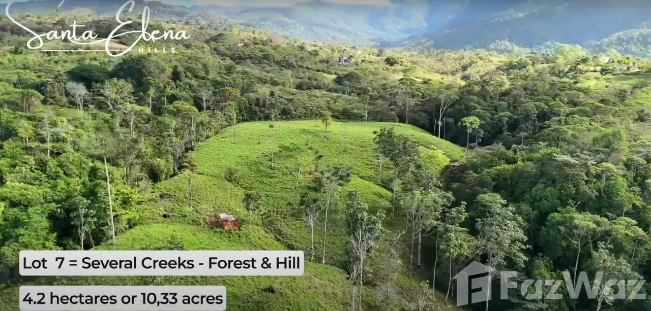 Land for Sale in Perez Zeledon, San Jose for $200,000, photo 4