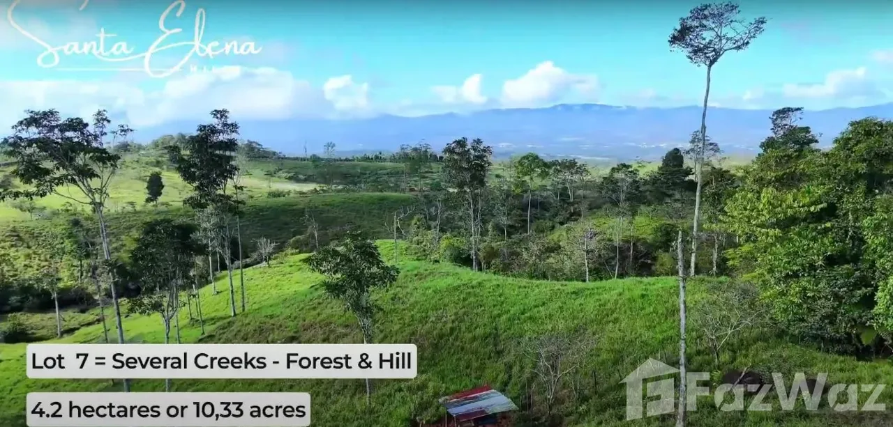 Land for Sale in Perez Zeledon, San Jose for $200,000, photo 5