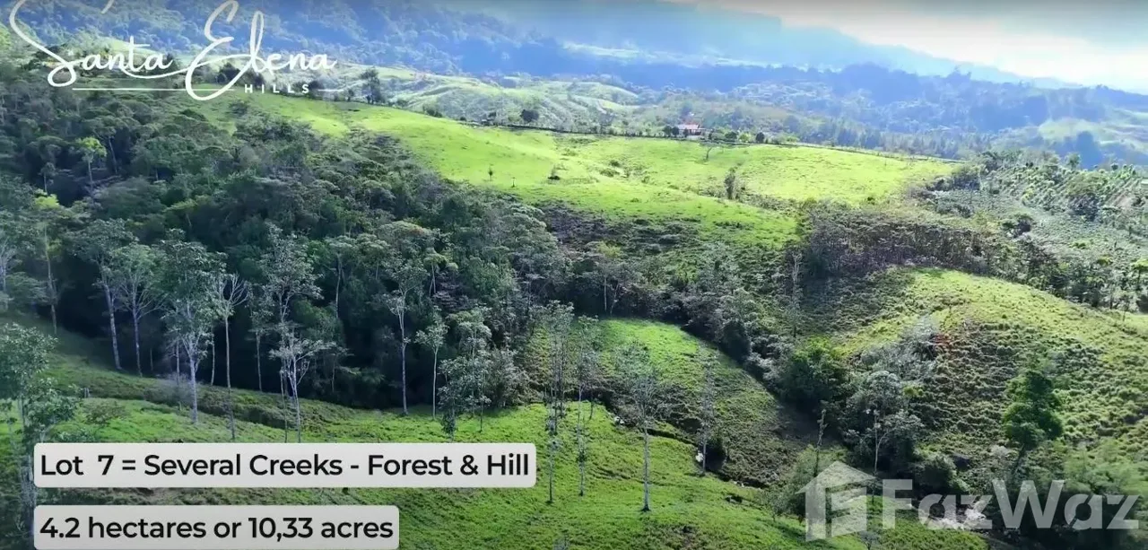 Land for Sale in Perez Zeledon, San Jose for $200,000, photo 7