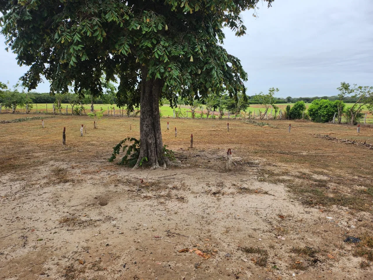 Lotes listos para construir en venta, photo 2