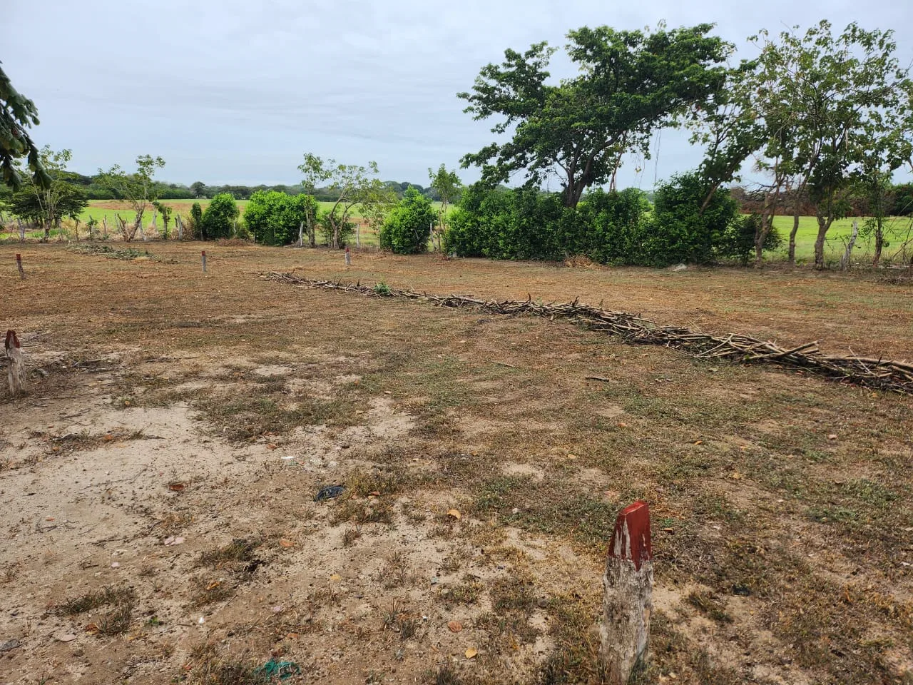 Lotes listos para construir en venta, photo 3