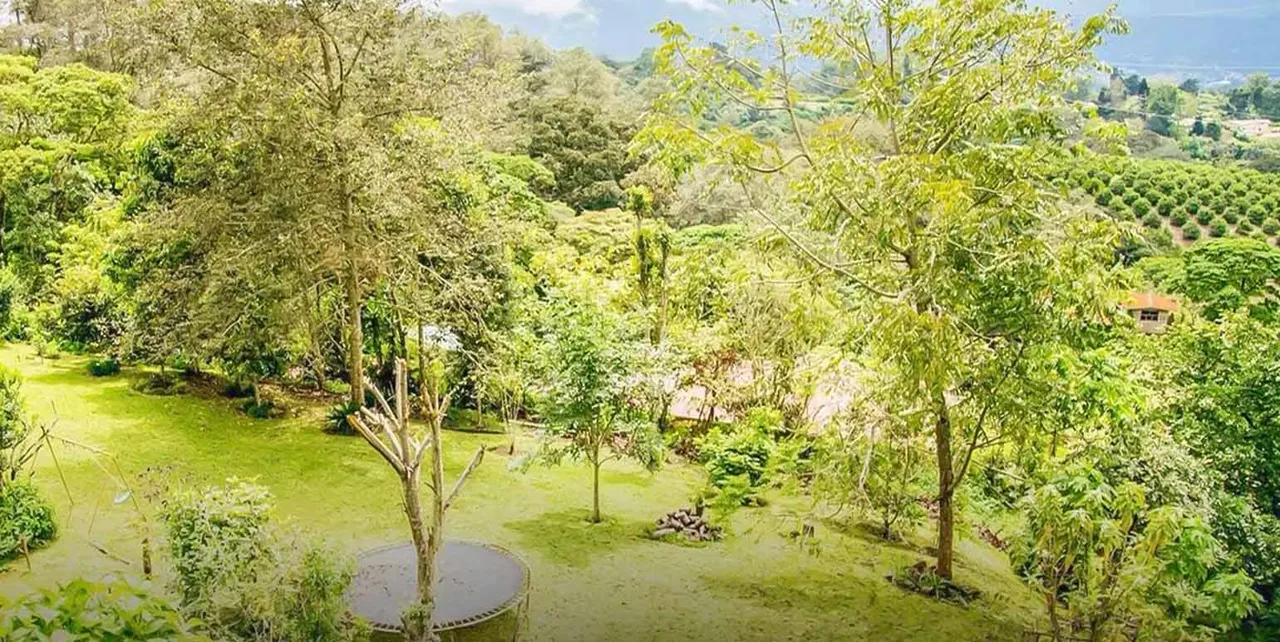 Mountain house with spectacular panaramic views in San Rafael de Montes de Oca (CT), photo 9