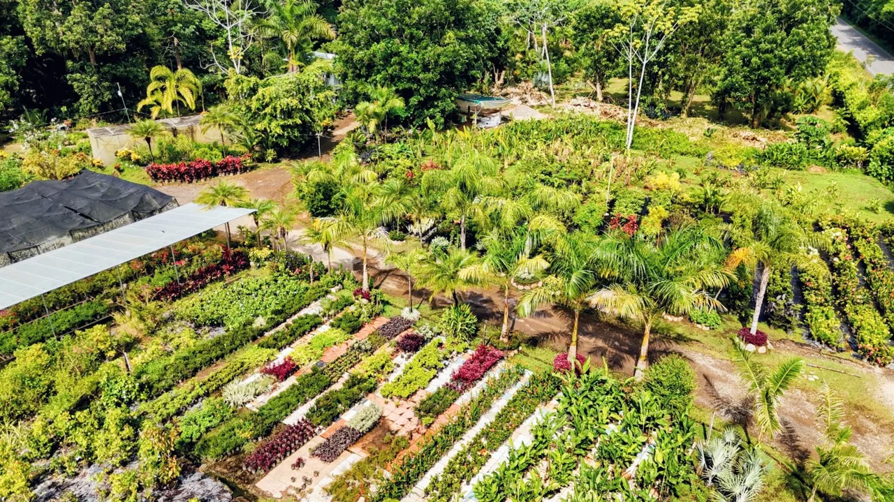 38.95-Acre Flat Farm Near Dominical, Costa Rica | Prime Development &amp; Investment Opportunity, photo 11