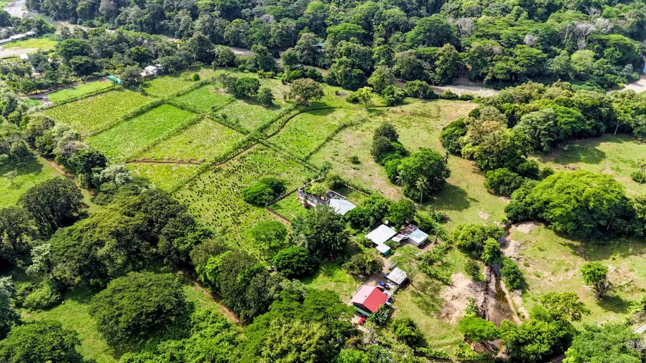 38.95-Acre Flat Farm Near Dominical, Costa Rica | Prime Development &amp; Investment Opportunity, photo 14