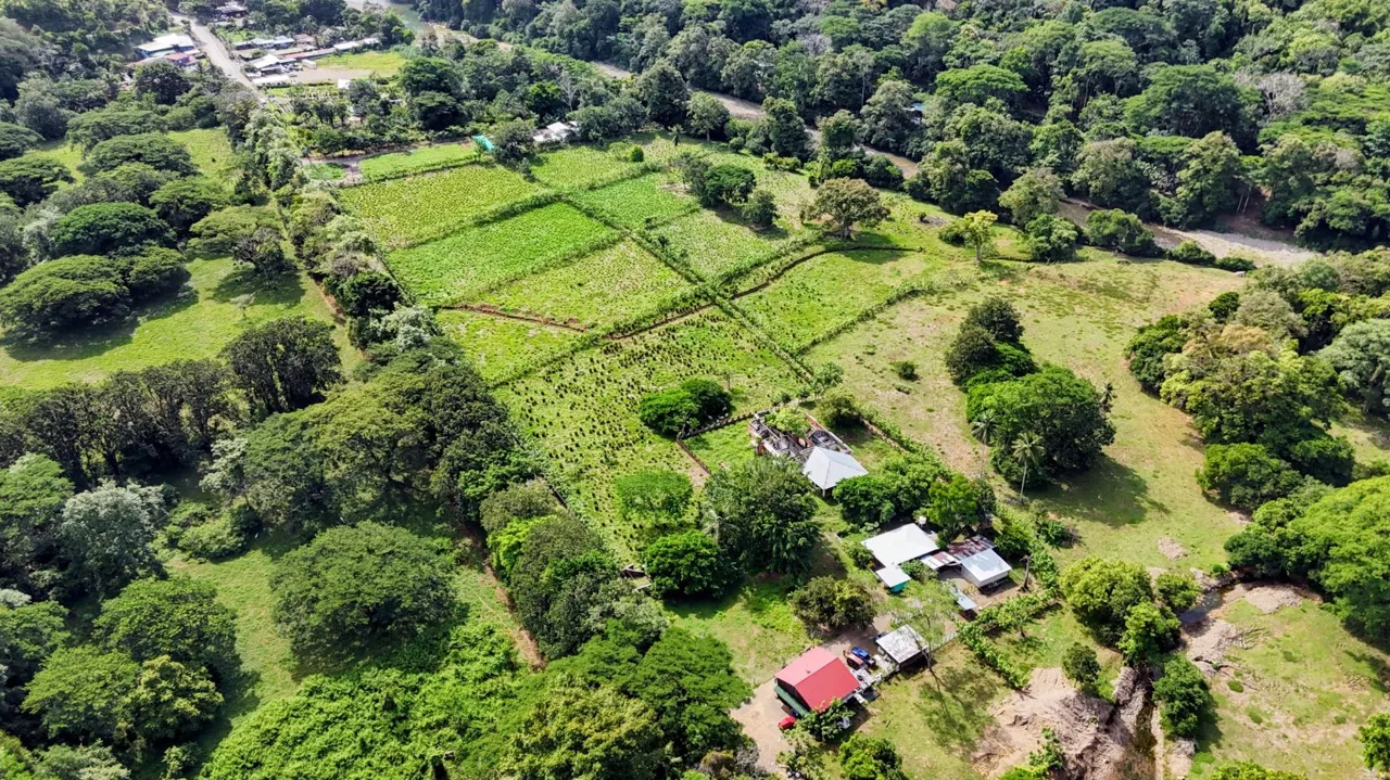 38.95-Acre Flat Farm Near Dominical, Costa Rica | Prime Development &amp; Investment Opportunity, photo 6