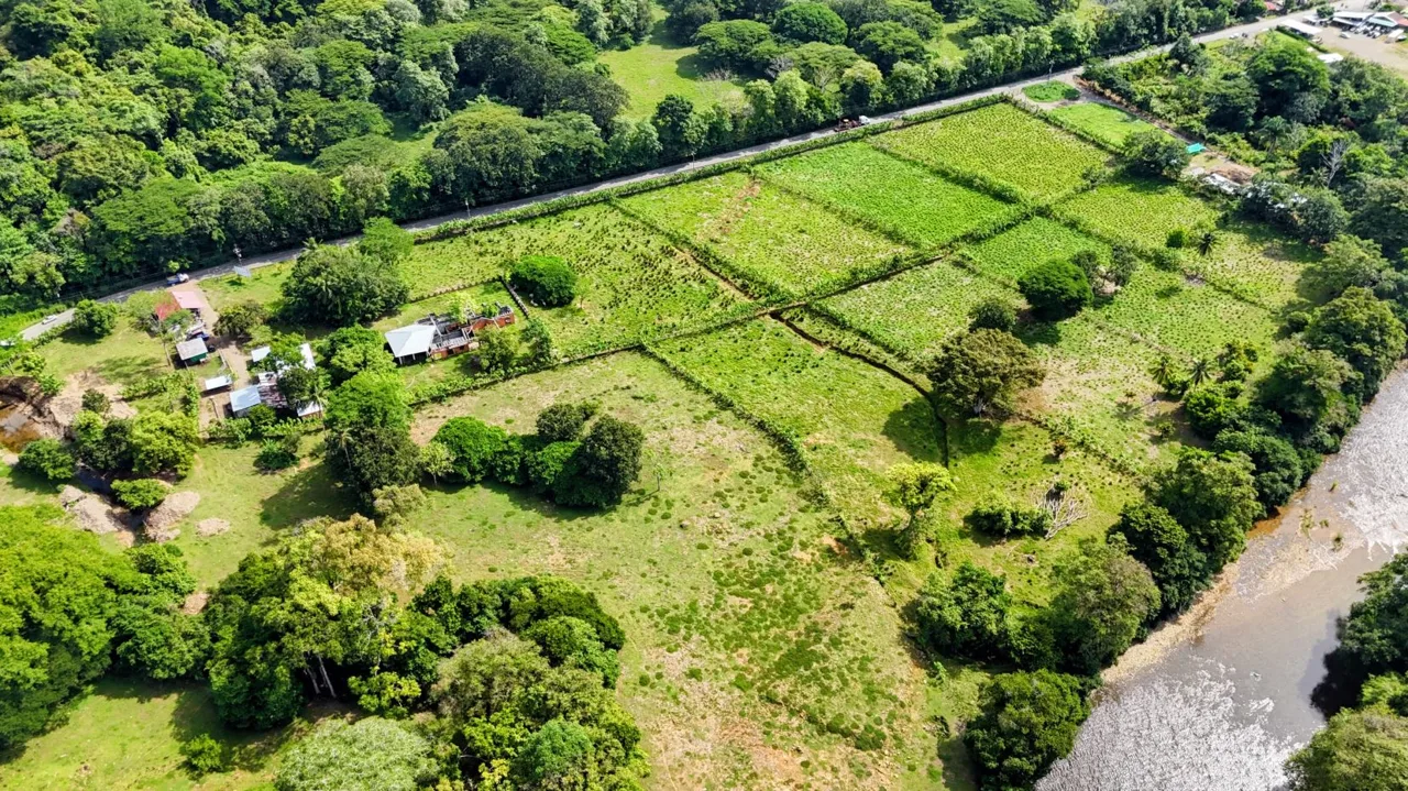 38.95-Acre Flat Farm Near Dominical, Costa Rica | Prime Development &amp; Investment Opportunity, photo 7