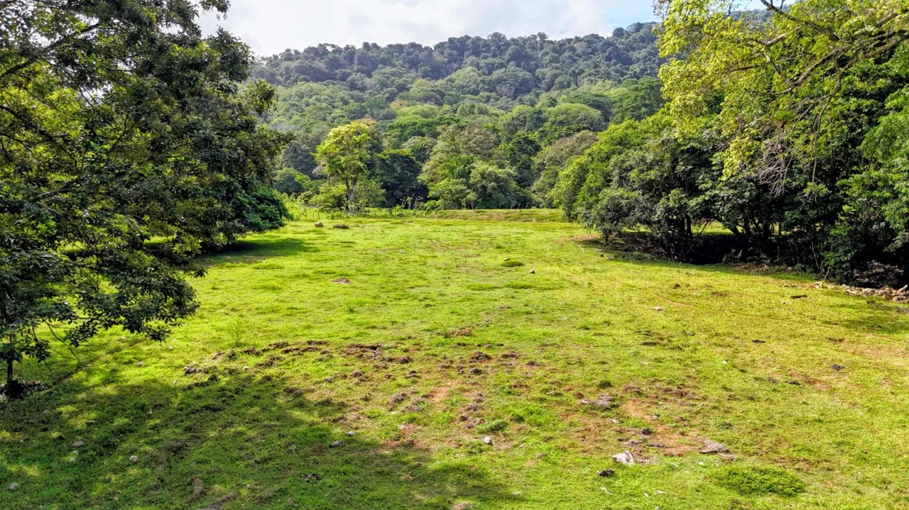 38.95-Acre Flat Farm Near Dominical, Costa Rica | Prime Development &amp; Investment Opportunity, photo 9
