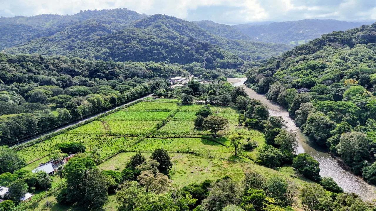 38.95-Acre Flat Farm Near Dominical, Costa Rica | Prime Development &amp; Investment Opportunity, photo 10