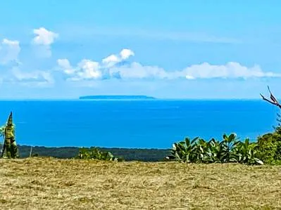 Lote de 1,92 acres con vista al mar en una comunidad cerrada cerca de Ojochal.
