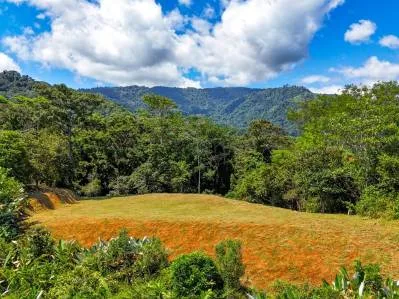 Lote de 1,92 acres con vista al mar en una comunidad cerrada cerca de Ojochal., photo 4