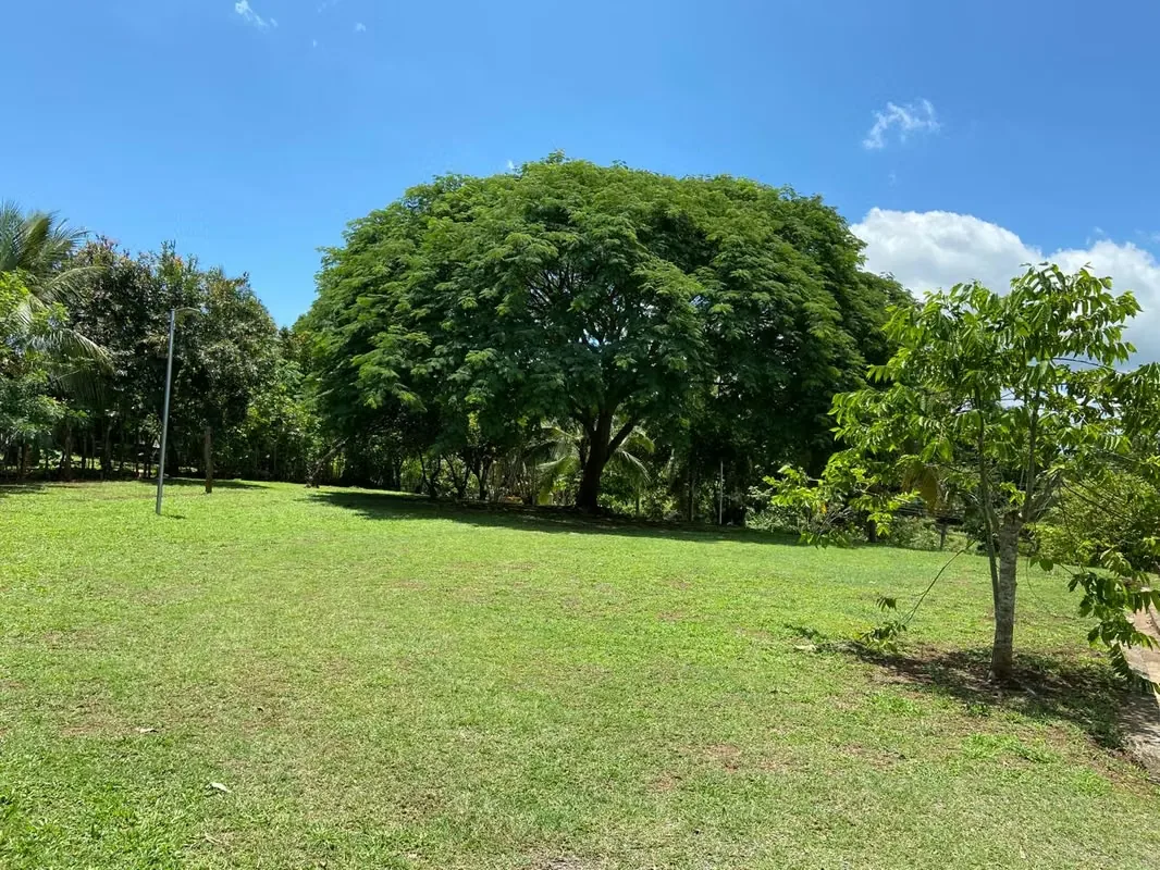 9,000 m² Property with House and Pool Near Jacó for Sale, photo 4