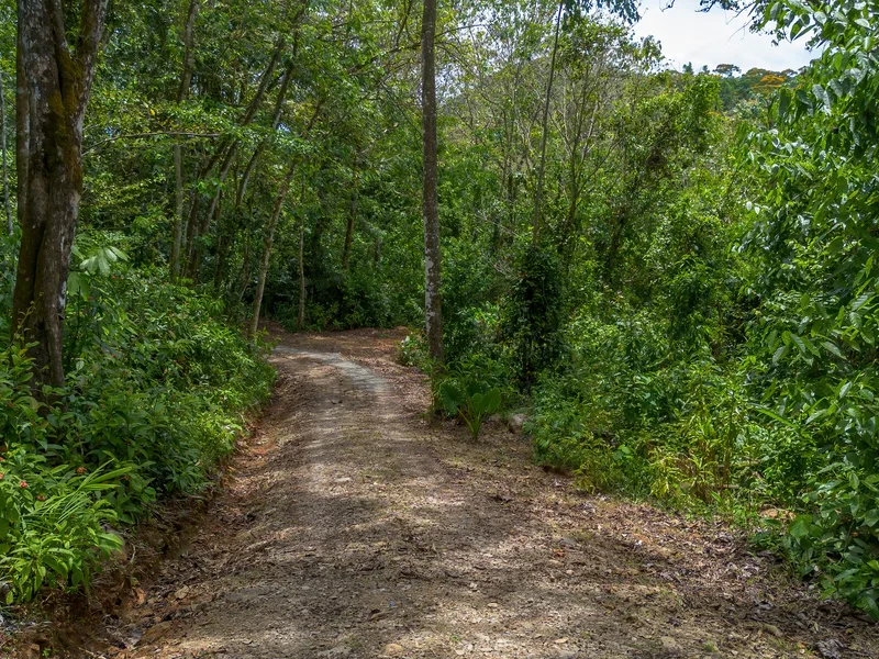 3 Bed Single Family Homes For Sale in Dominical, photo 3