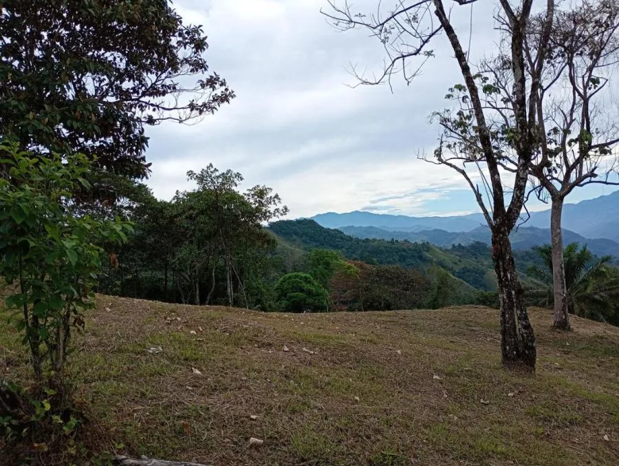 Venta de Lote en Puriscal, San José. RAH 25-1389 - Venta en Puriscal, photo 7