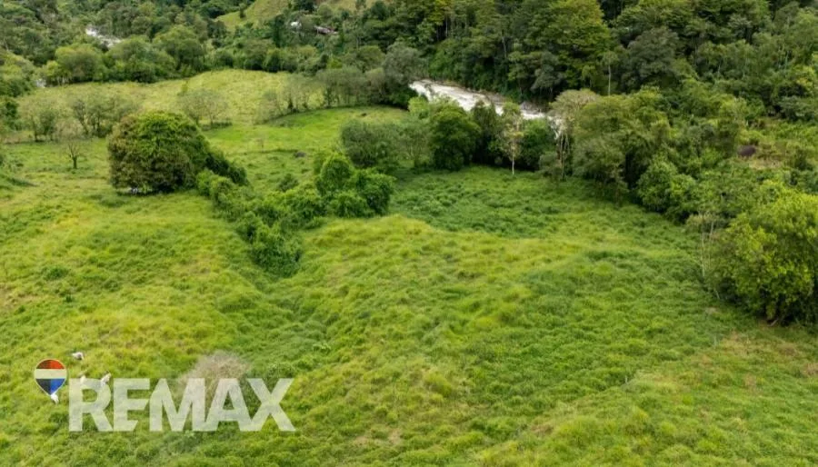 FINCA EN RÍO NUEVO DE SAVEGRE, UN PARAÍSO NATURAL EN EL CORAZÓN DEL PACÍFICO SUR DE COSTA RICA - Venta en Perez Zeledón, photo 6