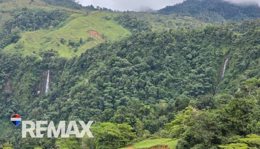 FINCA EN RÍO NUEVO DE SAVEGRE, UN PARAÍSO NATURAL EN EL CORAZÓN DEL PACÍFICO SUR DE COSTA RICA - Venta en Perez Zeledón, photo 7