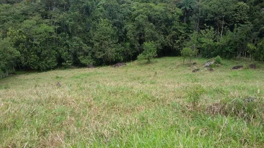 FINCA EN RÍO NUEVO DE SAVEGRE, UN PARAÍSO NATURAL EN EL CORAZÓN DEL PACÍFICO SUR DE COSTA RICA - Venta en Perez Zeledón, photo 8