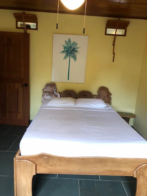 TWO FLOOR PROPERTY WITH SIX BEDROOM HOME IN DOMINICAL – 0.1 ACRES, photo 13