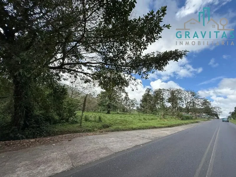 Land for sale in Fortuna with hot spring water (10,000 m2) ID 1745, photo 11