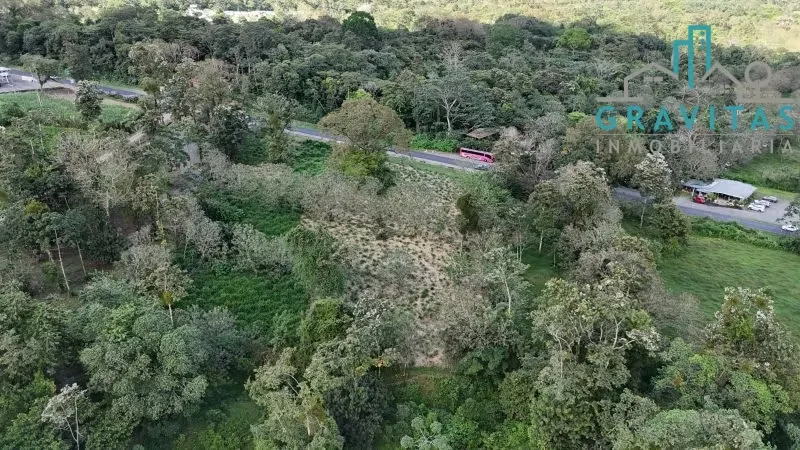 Land for sale in Fortuna with hot spring water (10,000 m2) ID 1745, photo 10