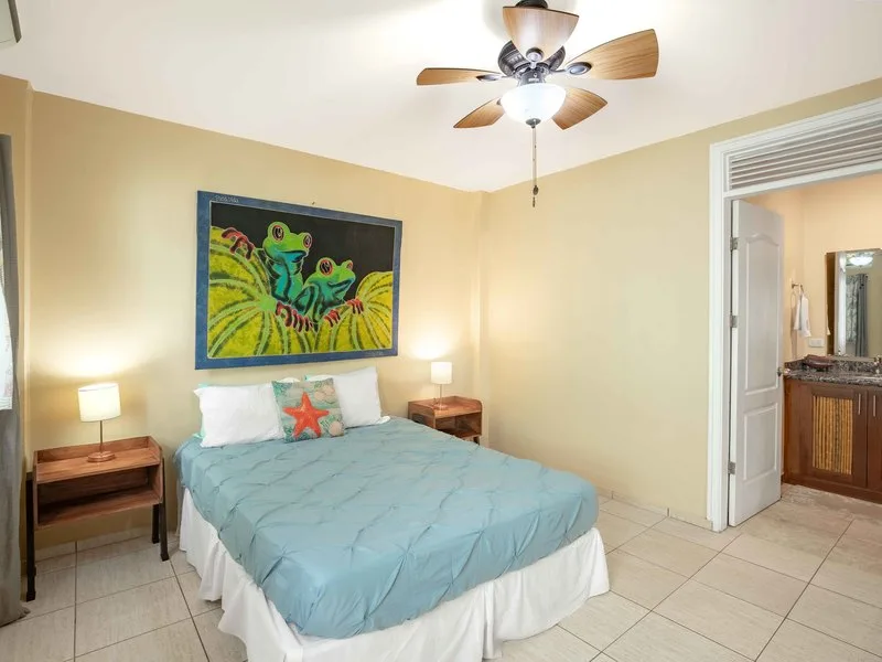 8 Bed Condo For Sale in Playas Del Coco, photo 13