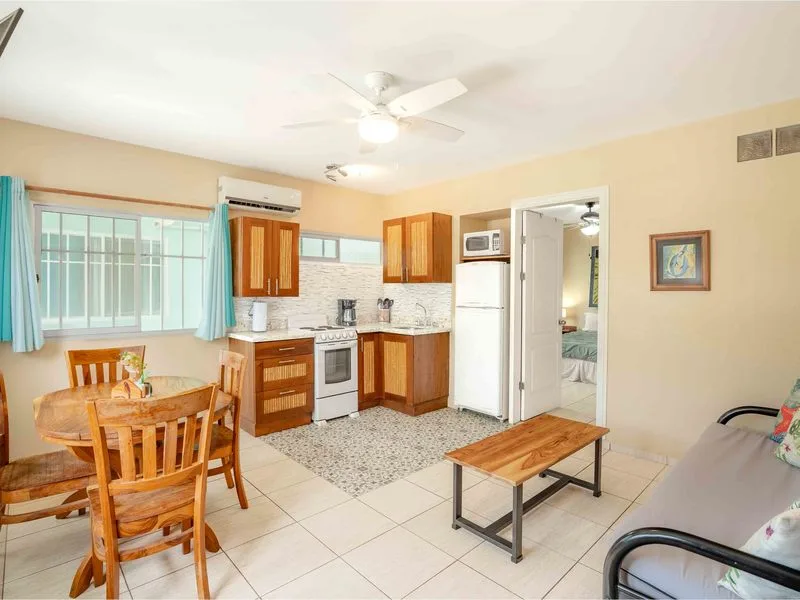 8 Bed Condo For Sale in Playas Del Coco, photo 8