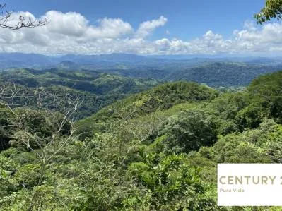 Gran Finca De Teca Con 138 Ha De Terreno, Cerca De Las Delicias/Bijagual