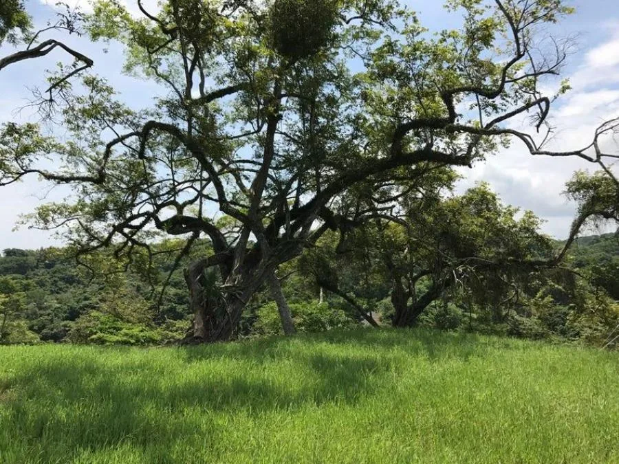 Venta de Lote en Orotina de Alajuela. RAH 26-868 - Venta en Orotina