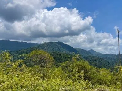 BUILDING PROPERTY WITH OCEAN VIEWS, NEAR TO THE WATERFALL, IN UVITA – 1.93 ACRES, photo 27