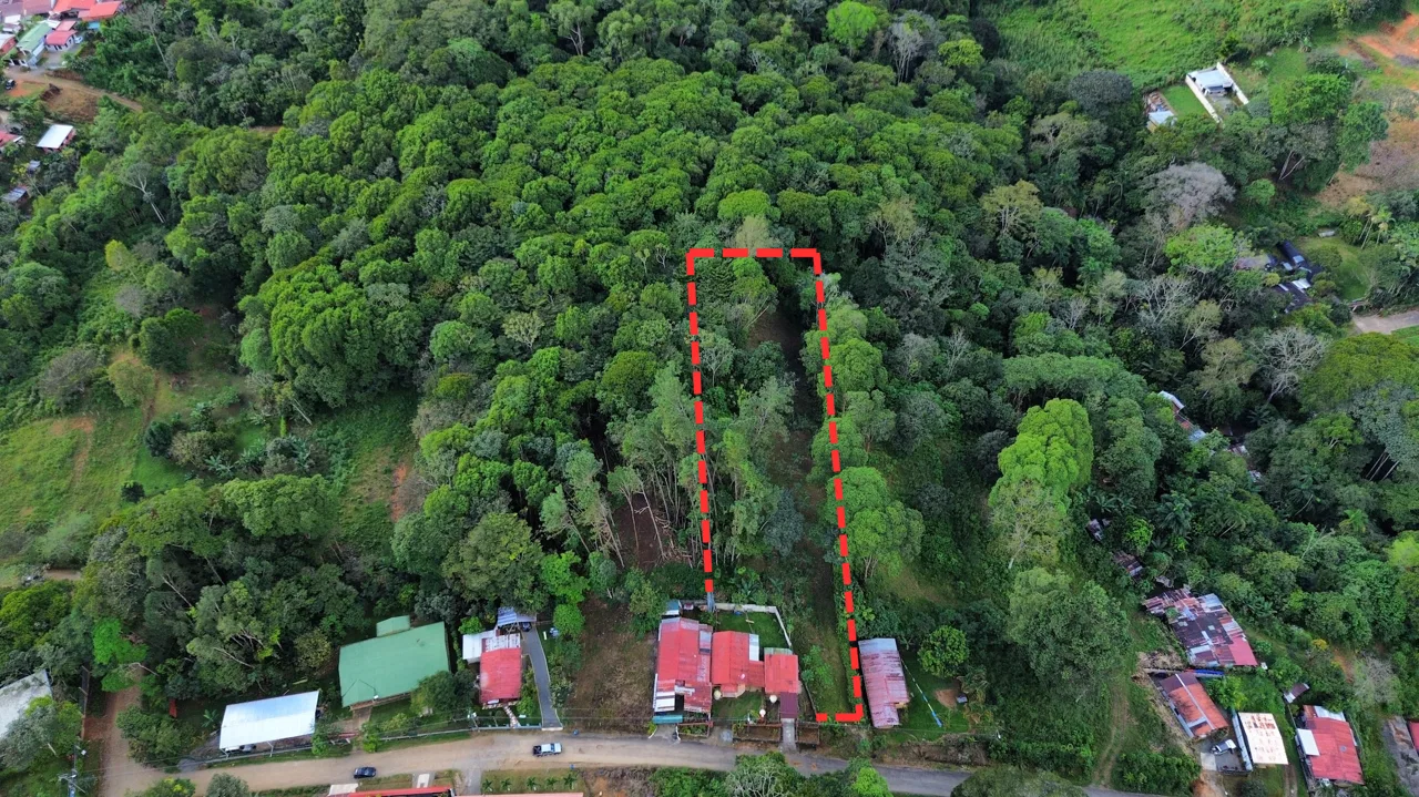 BUILDING PROPERTY WITH PUBLIC ROAD IN FRONT AND FRUIT TREES, IN SAN ISIDRO – 0.53 ACRES