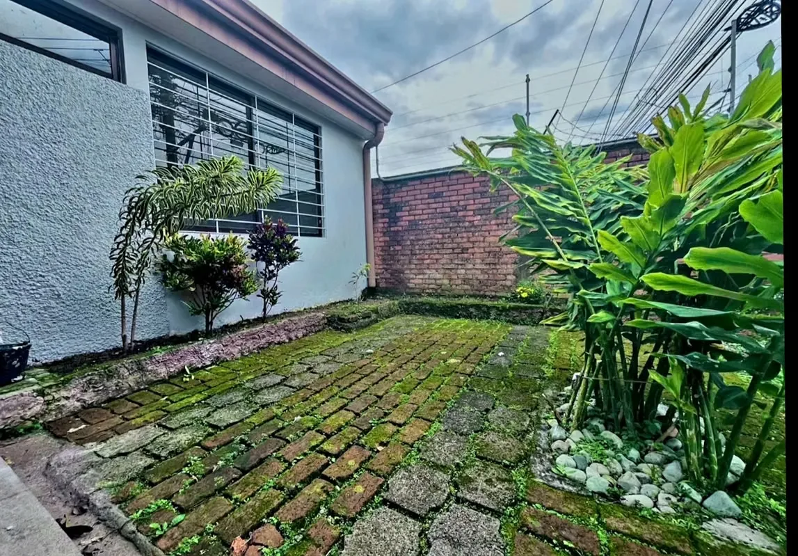 Pet Friendly - Independent house with large courtyard, located 5 minutes from Rotonda de La Bandera in San Pedro., photo 9