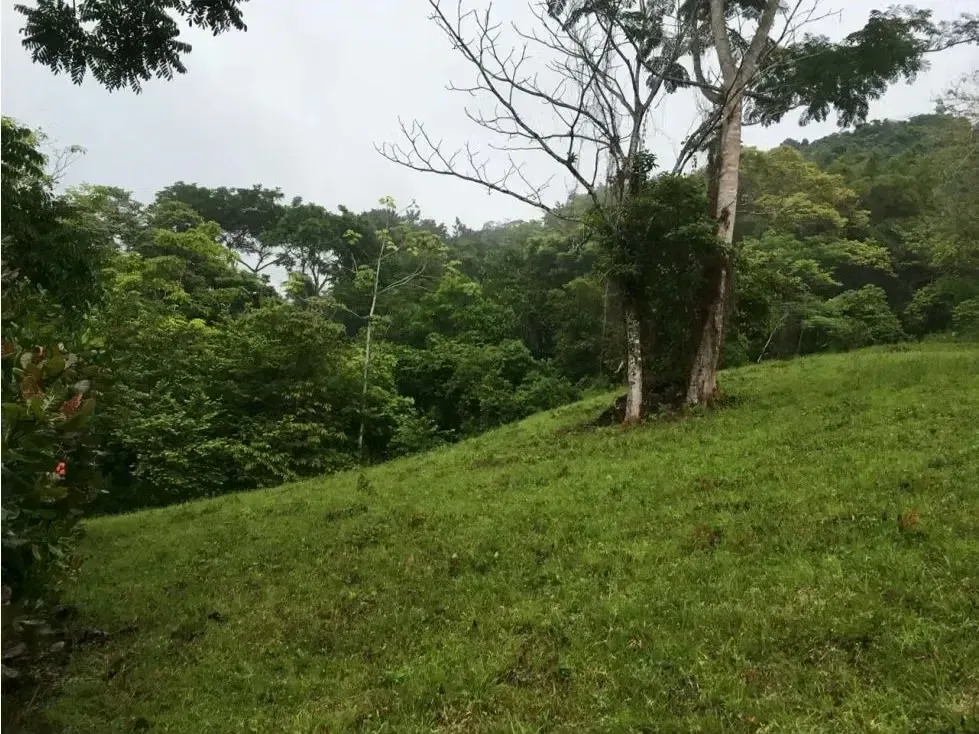 This beautiful property, full of lush nature and tranquility, is located in Playa Hermosa, offering access to the existing amenities in Playa Hermosa and Jacó, just 1 hour from the ...