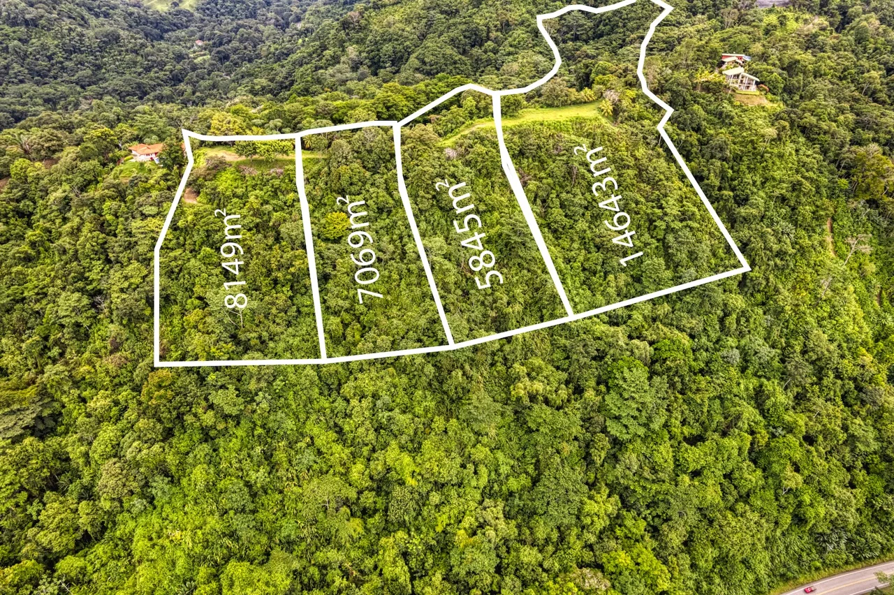 LOT 4 WITH A LARGE BUILDING AREA AND MOUNTAIN VIEWS, IN TRES RÍOS, photo 2
