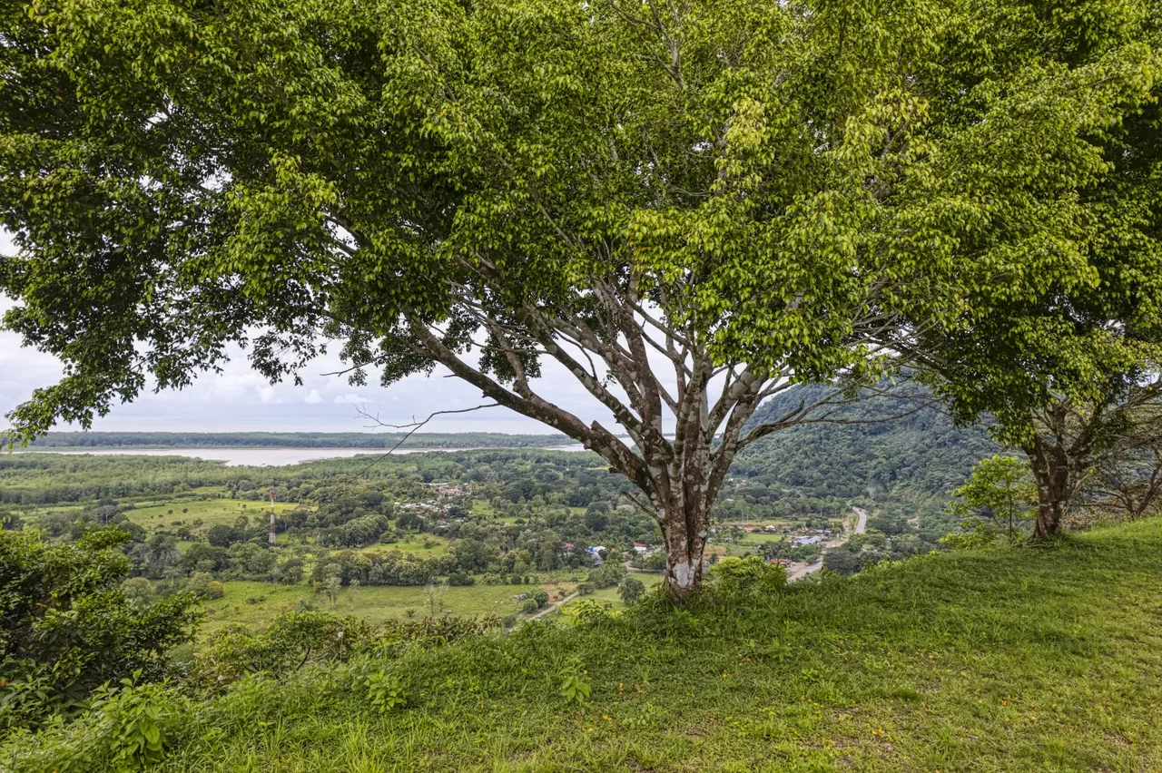 LOT 4 WITH A LARGE BUILDING AREA AND MOUNTAIN VIEWS, IN TRES RÍOS, photo 12