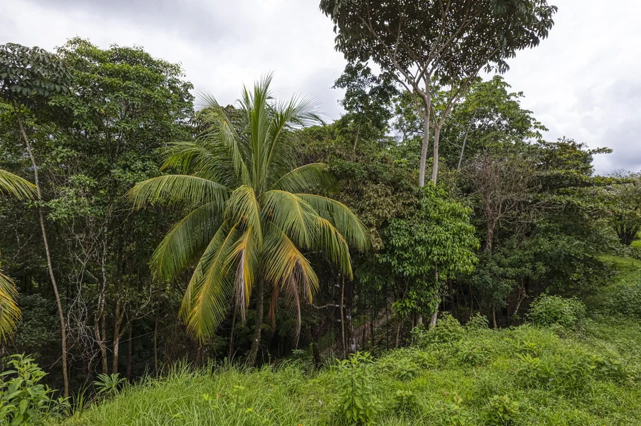 LOT 4 WITH A LARGE BUILDING AREA AND MOUNTAIN VIEWS, IN TRES RÍOS, photo 13