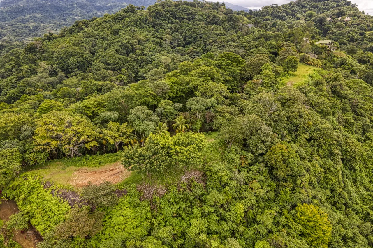 LOT 4 WITH A LARGE BUILDING AREA AND MOUNTAIN VIEWS, IN TRES RÍOS, photo 16