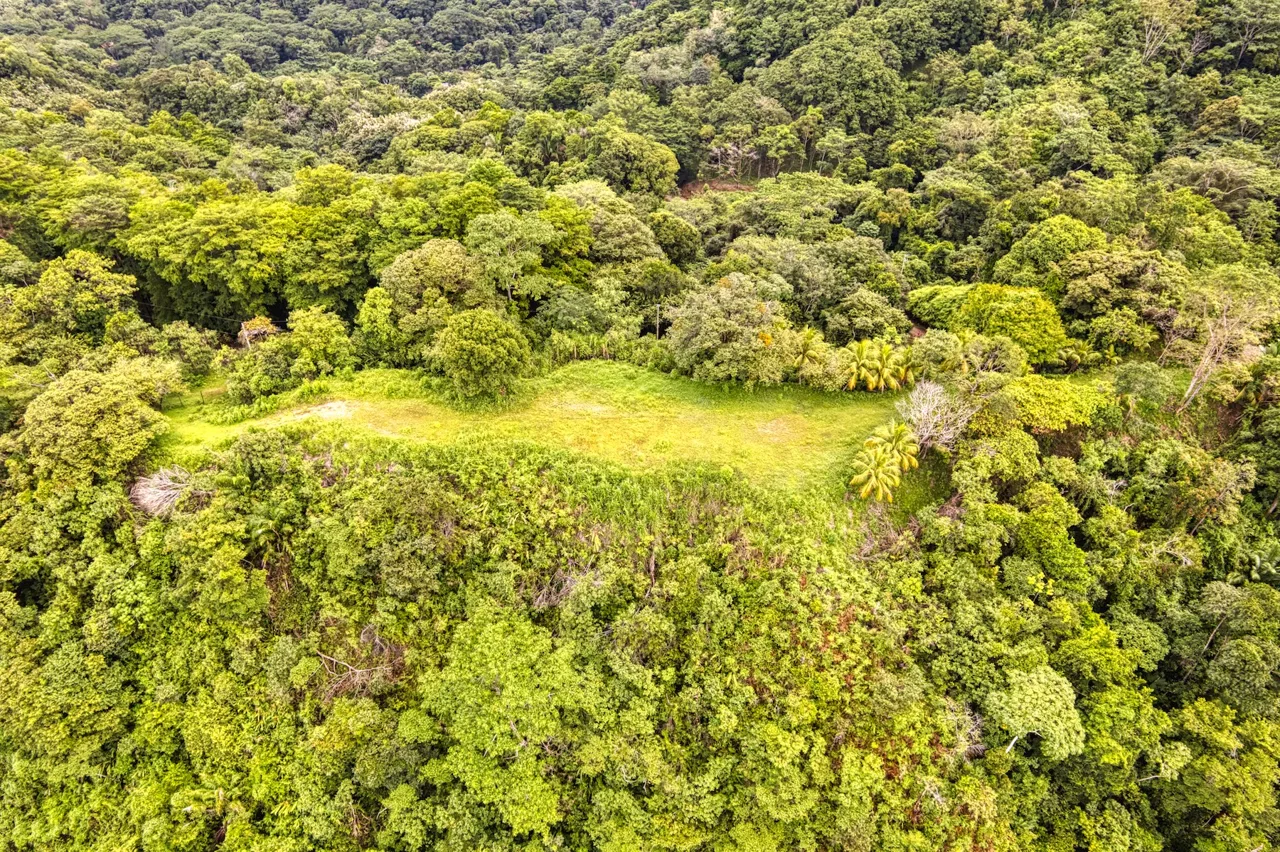 LOT 4 WITH A LARGE BUILDING AREA AND MOUNTAIN VIEWS, IN TRES RÍOS, photo 17