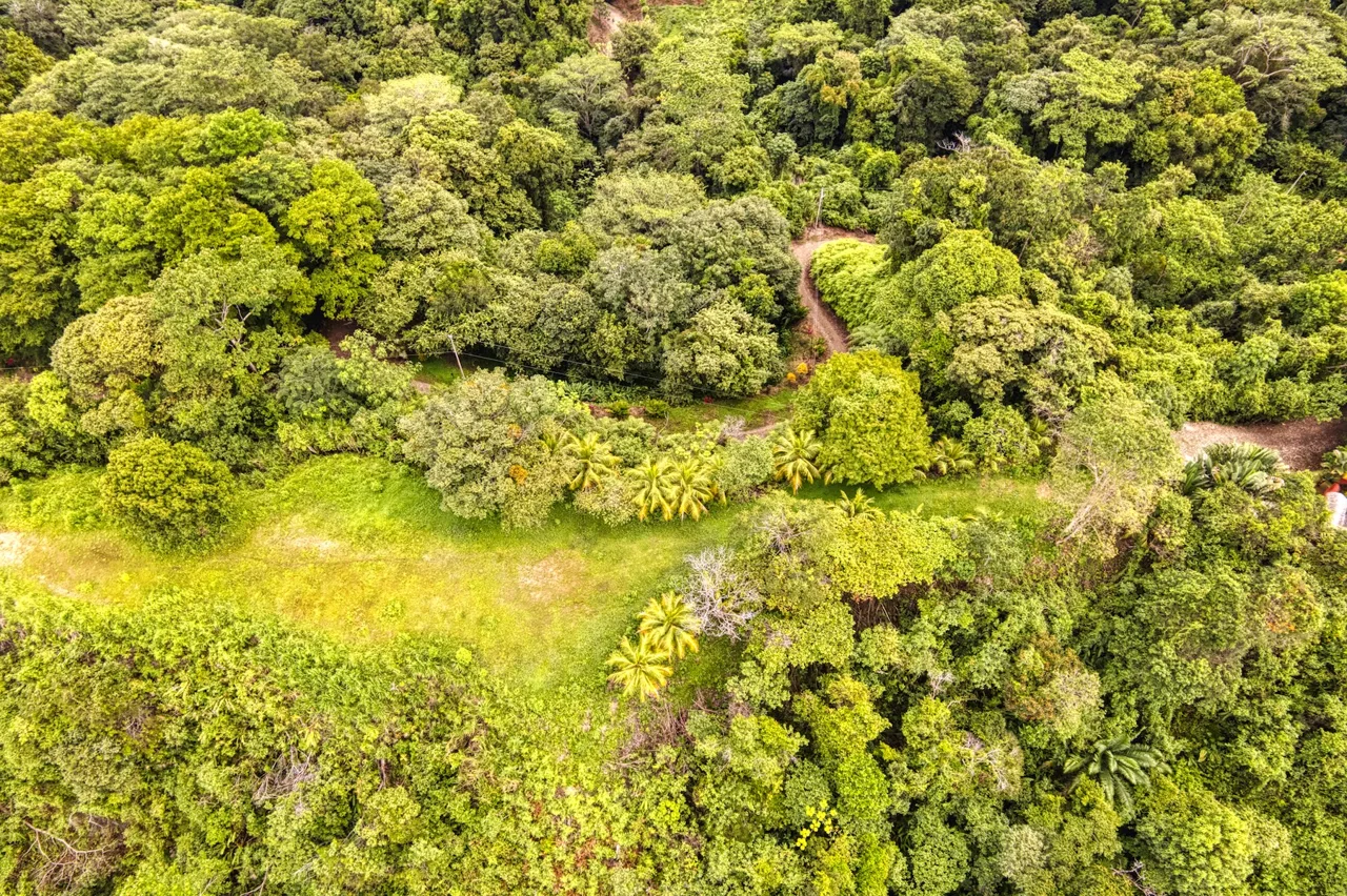 LOT 4 WITH A LARGE BUILDING AREA AND MOUNTAIN VIEWS, IN TRES RÍOS, photo 18
