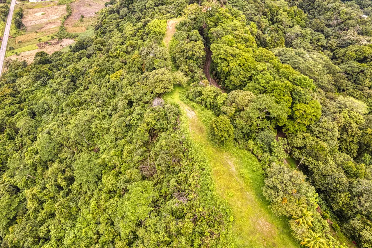 LOT 4 WITH A LARGE BUILDING AREA AND MOUNTAIN VIEWS, IN TRES RÍOS, photo 19